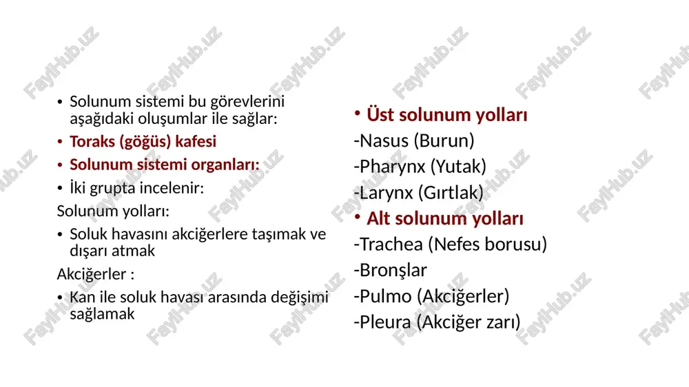 inum asıl başlık stilini düzenlemek için tıklayın asıl metin stillerini düzenle i̇kinci düzey üçüncü düzey dördüncü düzey beşinci düzey 1.12.2023 ‹#› asıl başlık stilini düzenlemek için tıklayın asıl alt başlık stilini düzenlemek için tıklayın 1.12.2023 ‹#› asıl başlık stilini düzenlemek için tıklayın asıl metin stillerini düzenle i̇kinci düzey üçüncü düzey dördüncü düzey beşinci düzey 1.12.2023 ‹#› asıl başlık stilini düzenlemek için tıklayın asıl metin stillerini düzenle 1.12.2023 ‹#› asıl başlık stilini düzenlemek için tıklayın asıl metin stillerini düzenle i̇kinci düzey üçüncü düzey dördüncü düzey beşinci düzey asıl metin stillerini düzenle i̇kinci düzey üçüncü düzey dördüncü düzey beşinci düzey 1.12.2023 ‹#› asıl başlık stilini düzenlemek için tıklayın asıl metin stillerini düzenle asıl metin stillerini düzenle i̇kinci düzey üçüncü düzey dördüncü düzey beşinci düzey asıl metin stillerini düzenle asıl metin stillerini düzenle i̇kinci düzey üçüncü düzey dördüncü düzey beşinci düzey 1.12.2023 ‹#› asıl başlık stilini düzenlemek için tıklayın 1.12.2023 ‹#› 1.12.2023 ‹#› …