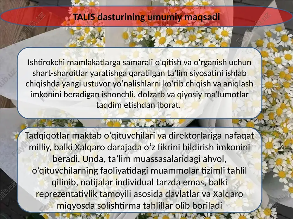 talis xalqaro baholashdasturi - Page 5