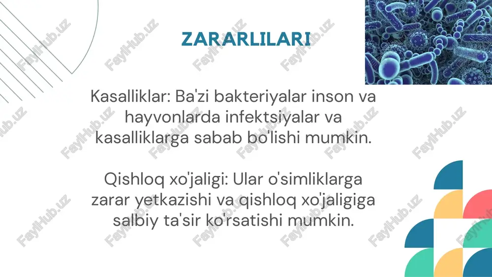 mikroorganizmlar haqida - Page 5