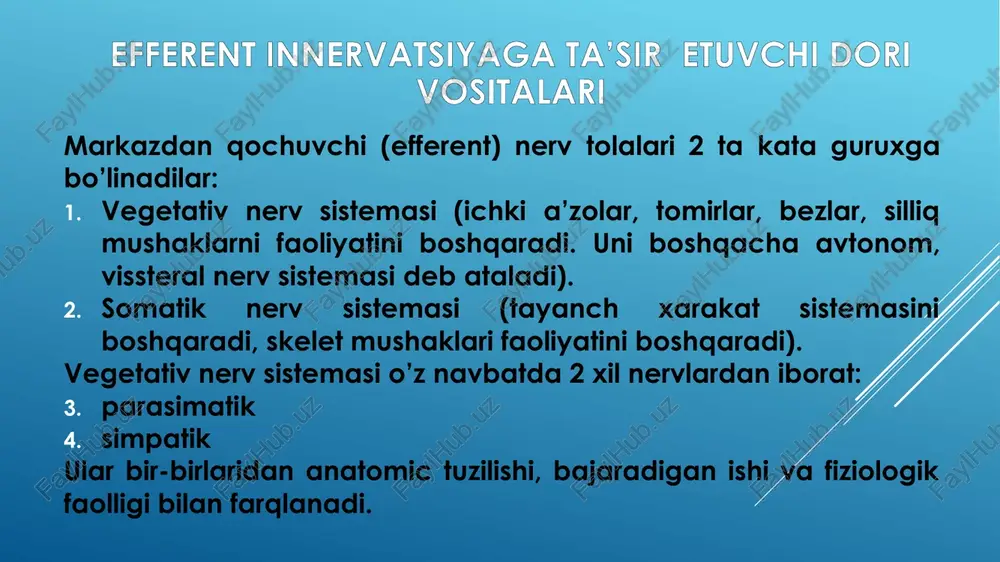 p > —vanpasnese orrora sxyrparnaahon mbkocth /docprops/thumbnail.jpeg buxoro davist ibbiyatinstiuti