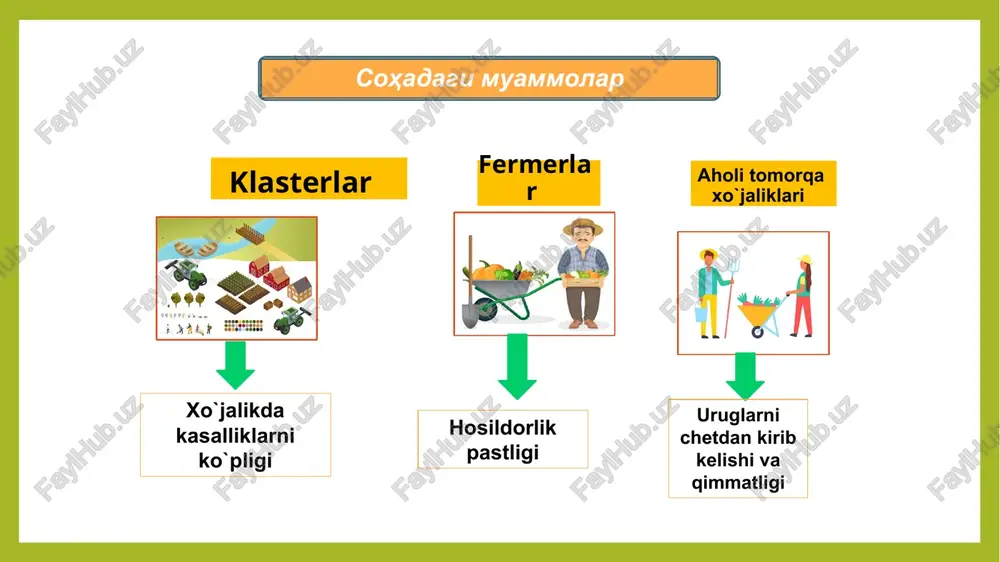 sabzavotchilik sohasining rivojlanish tarixi va hozirgiholati - Page 5