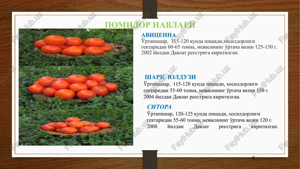 ga. issiqqa chidamli. yusupov kechpishar nav, o'suv davri 125-130 kun. tupi indeterminant tipida, balandligi 100-120 sm. mevasi yassi yumaloqsimon, indeksi 0,6, juda yirik 350-400 g, go'shtdor, degustatsi­on bahosi 5,0 ball. tarkibida quruq modda miqdori 6%. hosildorligi 60-70 t/ga. issiqqa chidamli. namuna 70 kechpishar nav, o'suv davri 110-115 kun. tupi determinant tipida, o'rtacha shoxlaydi. mevasi yumaloqsimon, yuzasi te­kis, qizil, vazni 110-130 g. hosildorligi 53-55 t/ga. nema­toda bilan zararlangan erlarda ekish uchun tavsiya etilmaydi. pomidor etishtirish pomidor uchun o'tmishdosh ekinlar: karam, sabzi, piyoz va dukkakli hamda qovoqdoshlar oilasiga mansub yaxshi hisoblanadi. ekishga tayyorlash: ko'chat etishtirish uchun urug'lar issiqxonalarga dalaga ekishdan 55-60 kun ilgari sepiladi. urug'lar sepishdan oldin 1 % li margantsovkali eritmada 10 daqiqa ivitilib dezinfektsiyalanadi. urug' sarfi 0,5 kg/ga. . ko'chatni ekish muddatlari: plyonkali qoplamalar ostida etishtirish uchun urug'lar noyabr oyining i o'n kunligida, (1 m2 maydonga 10-12 g) sepiladi. ko'chatlar 2 chinbargligida 5x5,6x6,7x7,8x8 sm sxemada pikirovka qilinadi.keyingi yillarda stakanchalarda ko'chat …