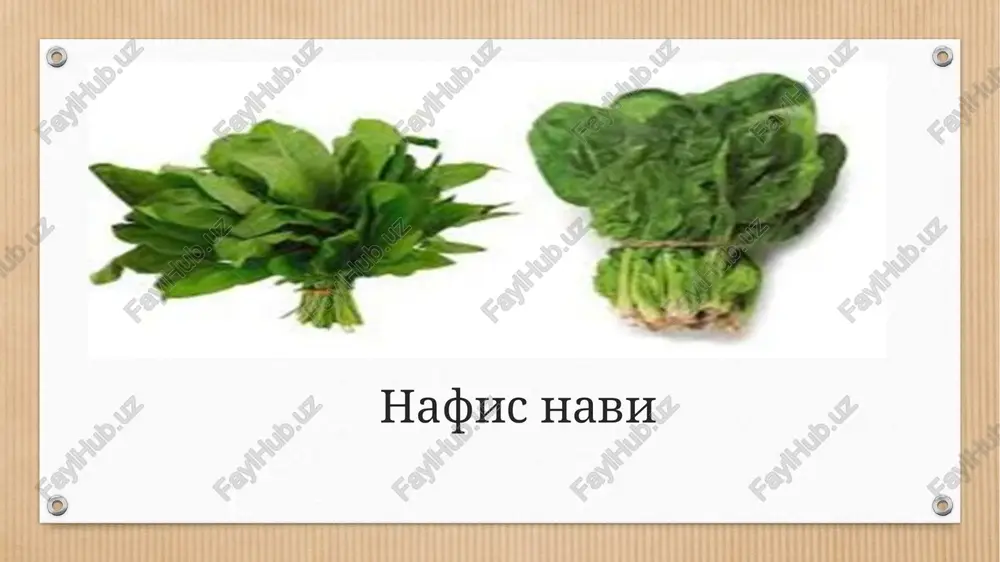 mkin. o'g'itlash. fosfor o'g'itini yillik miqdorini 75%, kaliyni hammasi erlarni asosiy ishlov davrida, qolgan 25% fosforni erni boronalab egat olishda berish tavsiya etiladi. azotli o'g'itlarni hammasi o'suv davrida oziqlantirishda ikkiga bo'lib beriladi. birinchi oziklantirish o'toq qilib o'simlik soni siyraklashtiril-gandan so'ng, ikkinchisi esa 2-3 tadan ching barg paydo bo'lganda o'tkaziladi. o'g'itlar o'g'itlagich moslamalar bilan qator oralariga o'simlikka yaqinroq qilib beriladi. petrushkaning nilufar, saxarnaya va novas navlari rayonlashgan bo'lib, u sovuqqa chidamli ikki yillik o'tchil o'simlik hisoblanadi. uning urug'ini o'sishi uchun 5-6°s, ko'karib hosil yaratishi uchun 15-16°s harorat kerak. petrushka o'suv boshida sekin o'sadi, keyin tez rivojlanadi.petrushka er tanlamaydi. to'qsonbosti usulda ekilgan kashnichning o'suv davri 55-60 kun bo'lib, hosil pishish davri agarda plyonka bilan qoplangan bo'lsa – mart oyida yoki ochiq maydonda etishtirilgan bo'lsa – aprel oyiga to'g'ri keladi. petrushka nilufar navi poker duragay sug'orish. ushbu ekinni o'stirishda tuproqning to'yingan dala nam sig'imiga nisbatan sug'orishdan oldingi tuproq namligi 70-75% bo'lishi kerak. sizot …