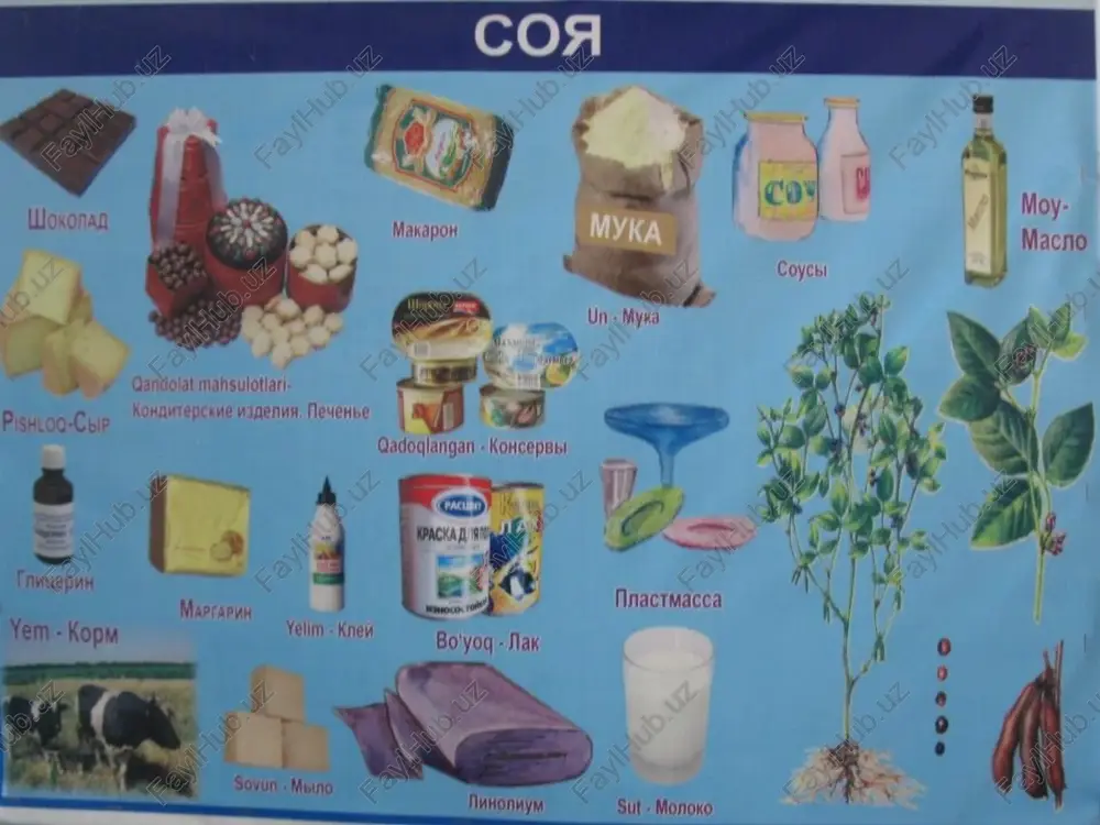 tuganak bakteriyalar rivojlanmaydi. navlari. o'zbekiston sholichilik itida yaratilgan "do'stlik", "o'zbekiston-2", "o'zbekiston-6", "orzu" navlari ekilmoqda. soya navlari o'suv davri qo'yidagi guruhlarga bo'linadi: guruhlari o'suv davri, kun foydali harorat yig'indisi, 0s ultra tezpishar 80 kundan kam 1700 dan kam juda tezpishar 81-90 1701-1900 tezpishar 91-100 1901-2200 tez o'rtapishar 111-120 2201-2300 o'rtapishar 121-130 2301-2400 o'rta kechpishar 131-150 2401-2600 kechpishar 161-170 3001-3500 juda kechpishar 170 dan ortiq 3500 dan ortiq nihoyatda kechpishar - - orzu navi tavsifi: o'zbekiston ilmiy tadqiqot sholichilik institutida yakka tanlash yo'li bilan yaratilgan. amal davri 91-100 kun, takroriy ekilganda 76-80 kunda etiladi. poya balandligi 50-70 sm. 1000 ta donning vazni 120-130 g. to'la etilganda 75 % barg to'kiladi, mevasi chatnamaydi. sug'oriladigan sharoitda 32 ts/ga cha hosil beradi, don tarkibida 25 % moy va 36 - 38 % oqsil mavjud. o'zbekiston-2 navi tavsifi: sholichilik iti olimlari tomonidan yakka tanlash usulida yaratilgan. respublikada 1977 yildan beri ekilmoqda. nav o'rtapishar, amal davri to'la …