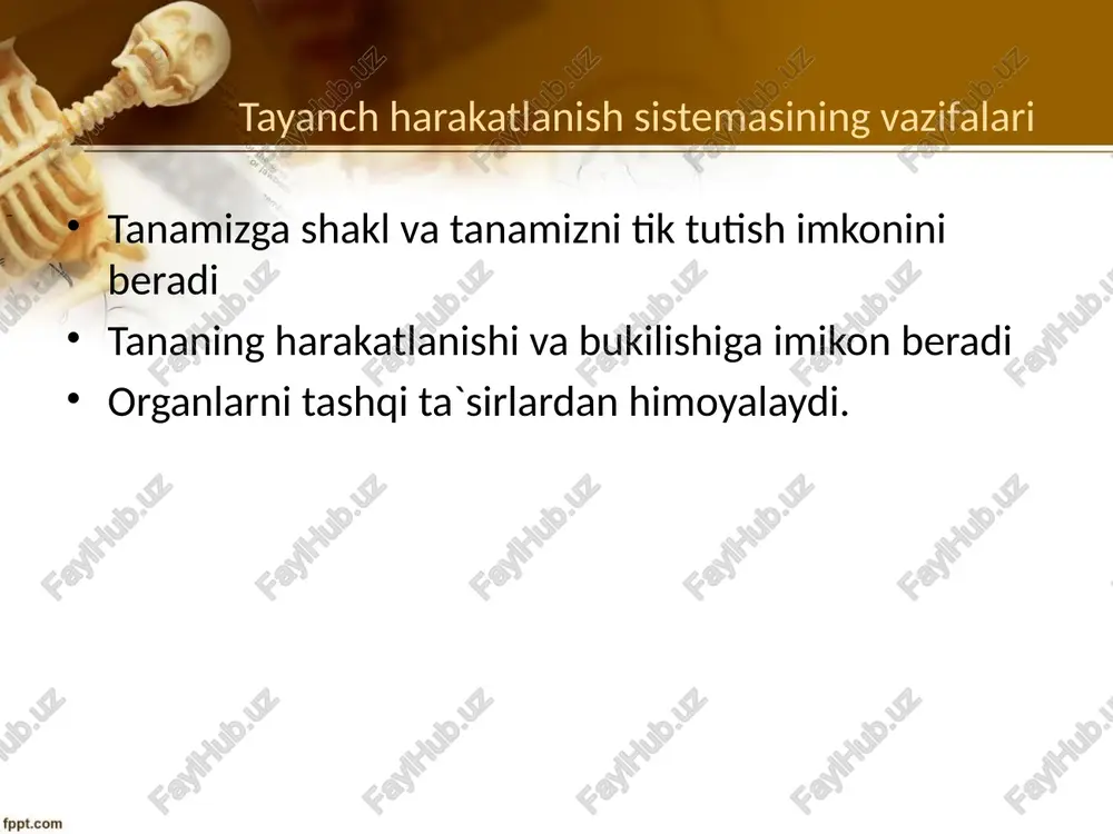 tayanch harakat tizimi va uning yoshga bog’liq xususiyatlari - Page 5