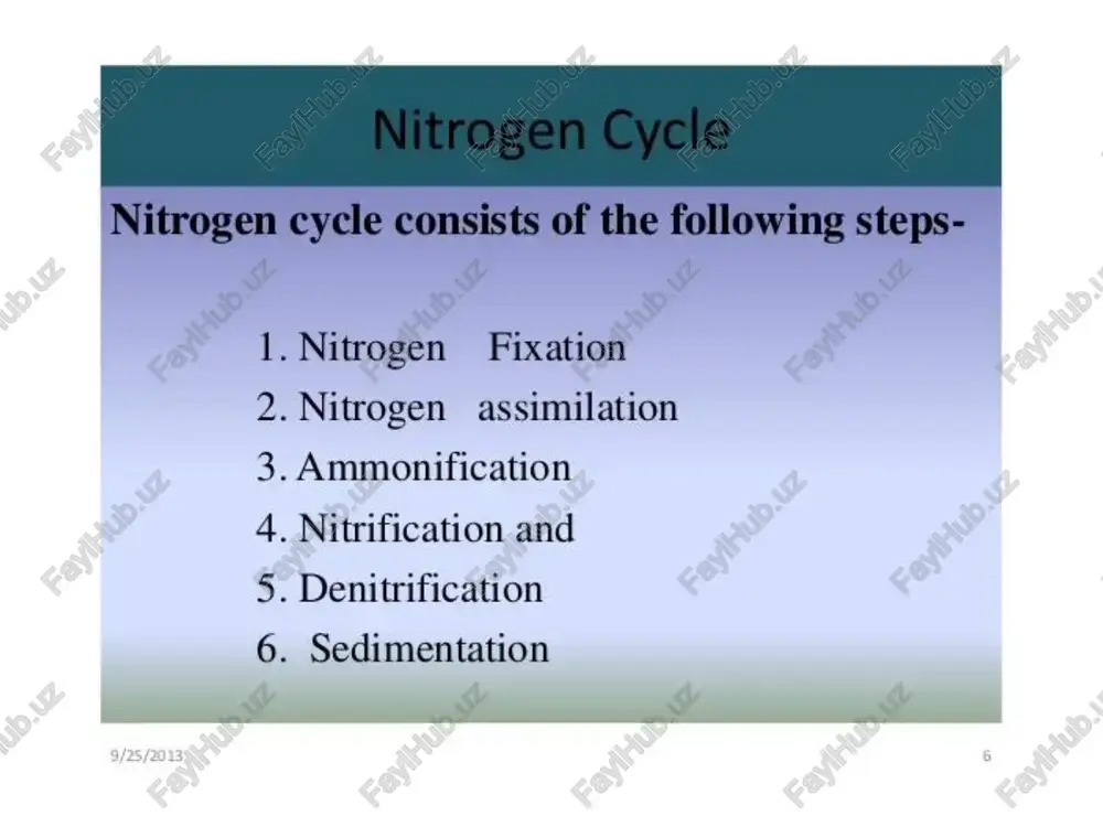 nitrogen cycle - Page 5