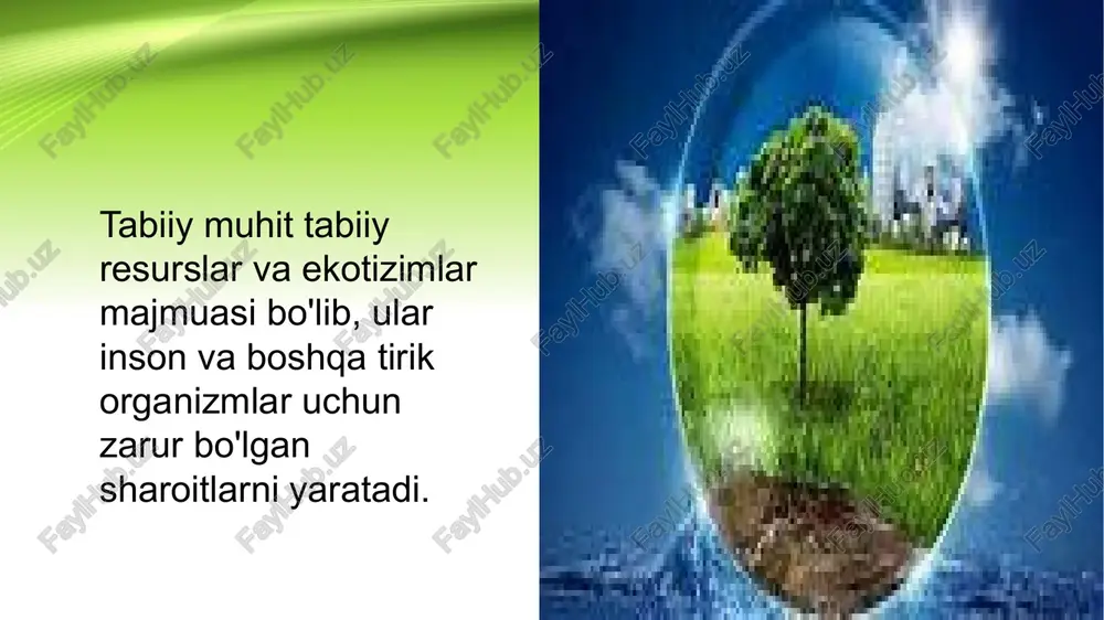 muhit va ekologik omillar - Page 5