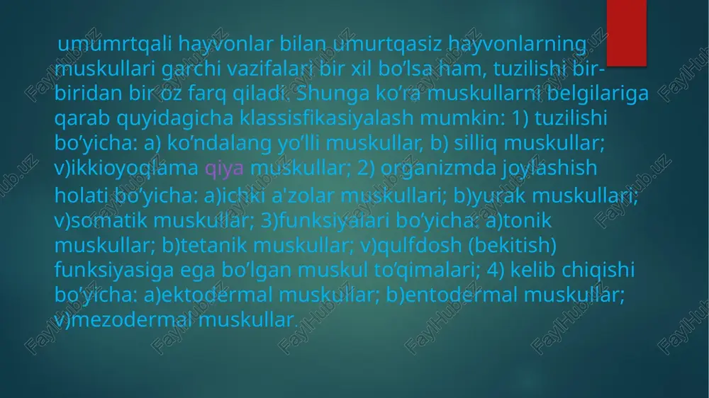 muskullar - Page 5