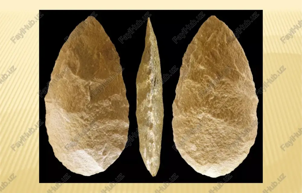 alardan yasalgan; bu plastinkalar yangi sindirish texnikasini qo’llanib, disk (gardish) shaklidagi nukleuslarga (yadro) otboynik (tosh) bilan urib hosil qilingan. qisqa va keng qurollar tayyorlangan. o’tkir uchli qurolning asosiy ishni bajaradigan qismi-o’tkir cho’qqisi, tarashlagichning asosiy qismi esa–uch burchakli plastinkaning yoysimon tagidir. must’e davrida shakli jihatdan tarashlagichga o’xshab ketadigan bo’lsa ham, lekin ishni bajaradigan chetidagi chuqurchasi bilan farq qiladigan o’roq randa paydo bo’lgan. bu asbob bilan randalashgan, po’stloqni shilib olishgan. mavlonova r.a., to’rayev o.t., xoliqberdiyev k.m. - «pedagogika» t., «o’qituvchi » - 2008 yil. bo’ri ziyomuhedov. “ilm hikmati.” abu ali ibn sino nomidagi tibbiyot nashriyoti. 1999 y o’zbekiston respublikasining “ta’lim to’g’risida” gi qonuni (barkamol avlod – o’zbekiston taraqqiyotining poydevori). 1997 yil. t.,“sharq” nashriyoti. r.mavlonova, n.vohidova, n.raxmonqulova. «pedagogika nazariyasi va tarixi». darslik. fan va texnologiyalar, t., 2010 yil. w.w.w. /pedagog/ uz.. mavzu:muste davri yodgorliklari. (jahon botyicha) must’e davrining boshlanishi. | i wi engin qervnine hasee ethase va une rule le: yodgorliklar must e …
