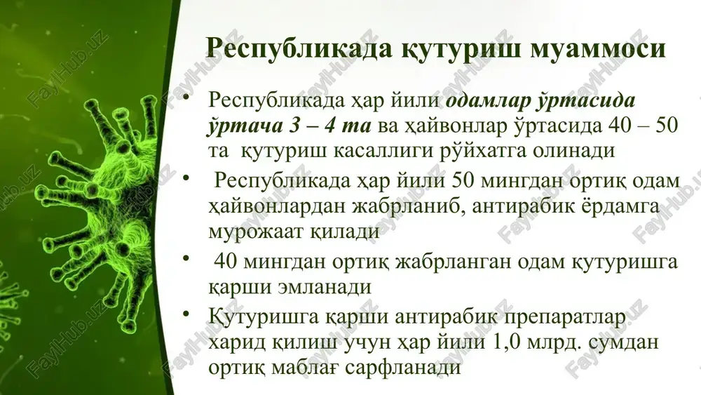 template provided by fppt.com www.free-power-point-templates.com quturish kasalligining tashxisoti quturish kasalligining tashxisi klinik, epidemiologik ma'lumotlar xamda laboratoriya tekshiruv natijalari asosida quyiladi quturishdan o'lgan bemor jasadi shifoxonaning patologik anatomiya bo'limida yorilib, orqa miyaning ammon shoxidan, bosh miya yarim shari po'stlog'idan, miyachadan va uzunchoq miyadan aseptika qoidalariga to'liq rioya qilgan holda, patologik material olinadi. quturish virusining miyada bir tekis tarqalmaganligini hisobga olib, bosh miyaning har bir qismidan 1,1x1,5x2,0 sm o'lchamda vazni 0,3 gr.dan kam bo'lmagan bo'lakchalar kesib olinadi. ushbu bo'lakchalar 200 sm3 hajmdagi steril shisha idishdagi 50% li glitserinning fiziologik eritmasiga solinadi. konservant xajmi olingan patologik material xajmidan 10 marta ko'p bo'lishi kerak (1:10). olingan pat.namuna respublika dsenmning o'ta xavfli yuqumli kasalliklar laboratoriyasiga yuboriladi. this presentation uses a free template provided by fppt.com www.free-power-point-templates.com qiyosiy tashxisoti quturish kasalligi quyidagi kasalliklar bilan qiyosiy tashxislanadi: qoqshol, entsefalitlar, atropin va i strixnindan zaxarlanish, isteronevroz (soxta quturish ko'rinishi) va h.k qoqsholda titanik talvasalanish, trizm, «sardonik kulgi», xushining …