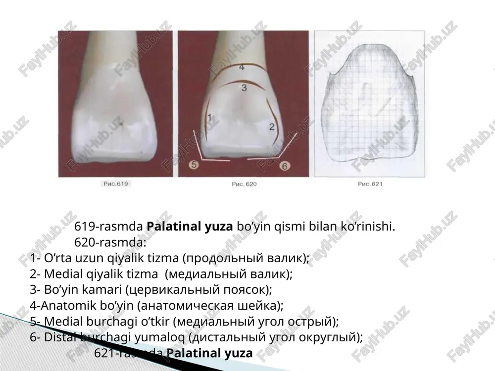 yuqorijag’da birinchi kesuvtish - Page 5