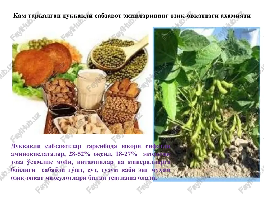 un to'yimli zuqa kunjaraning tarkibida 38,7% protein, 5,5% moy mavjud. soya kunjarasi va uni buzoqlar ratsionida sut o'rnini bosadi. 1 t soya donidan tarkibida 40% protein va 1,4% moy bulganda 750-800 kg shrot olish mumkin. u chorva uchun qimmatli kontsentratlangan em hisoblanadi. dukkakli sabzavotlarning ko'k poyasi ham qimmatli em-xashakdir. ularning eng yuqori ozuqalik qimmati gullash va donning to'lishi davrida yig'ib olinganda kuzatiladi... e'tiboringiz uchun rahmat! image1.jpeg image2.jpeg image3.jpeg image4.jpeg image5.jpeg image6.jpeg image7.jpeg image8.jpeg image9.jpeg image10.jpeg image11.jpeg image12.jpeg image13.jpeg image14.jpeg image15.jpeg image16.jpeg image17.jpeg image18.jpeg image19.jpeg image20.jpeg image21.jpeg image22.jpeg image23.jpeg image24.jpeg vucrounukn 6enka x @ bae, p * * dm. eaee gw eicr riekapctbehasm: ie cneamt 3a ypobhem bbipabatbibaet xo/iectepmha shepimio nomoraet pabote mo3ta (ctapehwe eabsteng, /docprops/thumbnail.jpeg ‘kan rapkasran 3ykkakth cag:4507 2400ra0prreet (ooms onkat crate atamesth, 6otaeee ‘ascau, ke1m6 sukeu a tapxaae-spzape.