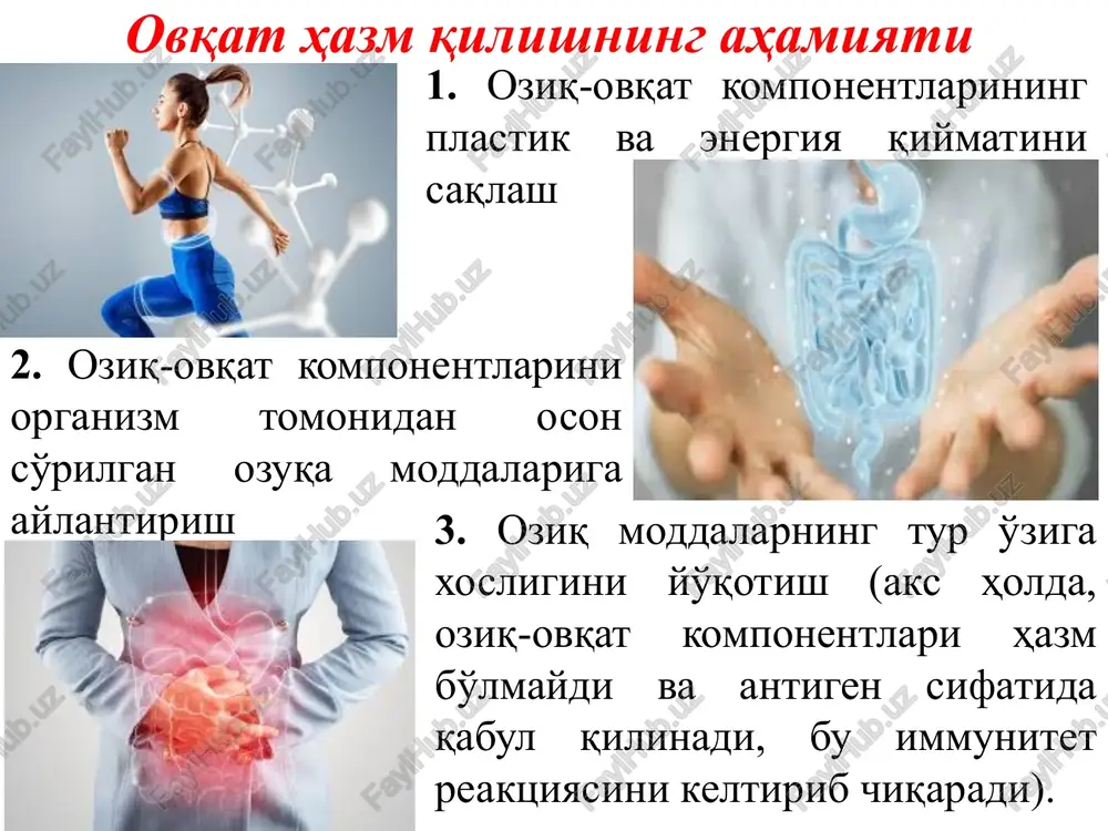 dotlarni (hayvonlar, o'simliklar, zamburug'lar va mikroorganizmlar) tashkil etuvchi organik moddalar asosan aminokislotalar, uglevodlar, lipidlar (ko'pincha yog'lar deb ataladi) va nuklein kislotalar bilan ifodalanadi. barcha tirik organizmlarni ishlatilganiga qarab sakkizta asosiy guruhga bo'lish mumkin: energiya manbai, uglerod manbai va elektron donor (oksidlanadigan substrat). energiya manbai sifatida tirik organizmlar quyidagilardan foydalanishlari mumkin: yorug'lik energiyasi (foto-) yoki kimyoviy bog'lanishlar energiyasi (xemo-). bundan tashqari, paratrof atamasi xo'jayin hujayraning energiya resurslaridan foydalanadigan parazit organizmlarni tavsiflash uchun ishlatiladi. energiya manbasidan tashqari, tirik organizmlar elektron donorga, organik moddalarni sintez qilish uchun ishlatiladigan elektron ajraladigan oksidlangan moddaga ham muhtoj. elektron donor (qaytaruvchi) sifatida tirik organizmlar: noorganik moddalar (lito-) yoki organik moddalar (organo-)dan foydalanishi mumkin. tirik organizmlar uglerod manbai sifatida karbonat angidrid (avto-) yoki organik moddalardan (getero-) foydalanadi. ba'zida avto- va geterotrof atamalari biologik molekulalarning qisqargan shakldagi bir qismi bo'lgan boshqa elementlarga nisbatan qo'llaniladi (masalan, azot, oltingugurt). metabolizm atamasining tarixi "metabolizm" atamasi biologiyaga birinchi marta 1840-yillarda teodor shvann tomonidan …