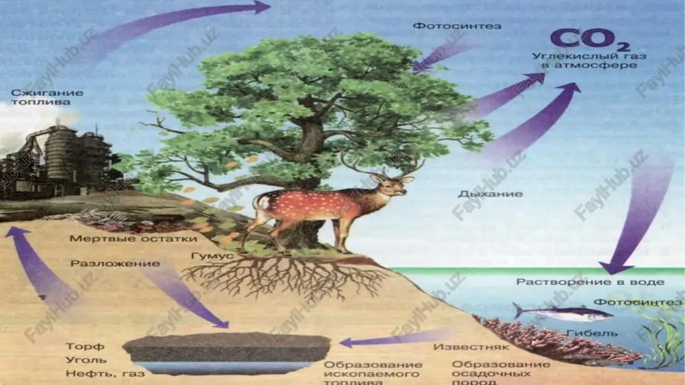 tisodiyot, xususan, sanoatning «yashil» va kam uglerodli rivojlanishini ta'minlash; innovatsiyalarni joriy etish va samarali «yashil» investitsiyalarni jalb qilish; barqaror va inklyuziv «yashil» urbanizatsiyani rivojlantirish; «yashil» iqtisodiyotga o'tish davrida katta ta'sir ostida bo'lishi mumkin bo'lgan aholi va ularning yashash joylarini qo'llab-quvvatlash. ushbu ustuvor yo'nalishlar bo'yicha vazifalarning samarali amalga oshirilishi quyidagi yo'nalishlardagi tarmoqlararo choralar bilan bir qatorda amalga oshiriladi: «yashil» o'sish bo'yicha salohiyatni oshirish va inson kapitalini rivojlantirish; «yashil» iqtisodiyotga o'tish uchun qulay siyosiy muhit yaratish, samarali institutlarni joriy qilish; tashqi va ichki «yashil» moliyalashtirish oqimlarini ko'paytirish. 2-bob. «yashil» o'sishning ustuvor yo'nalishlari 2.1. tabiiy resurslardan barqaror va samarali foydalanish ustuvor vazifalar: oziq-ovqat xavfsizligini ta'minlash, suv resurslarini tejash bilan birga o'sib borayotgan aholini oziq-ovqat bilan ta'minlaydigan qishloq xo'jaligi echimlarini ishlab chiqish va joriy qilish; barqaror landshaftlar, o'rmonlarni qayta tiklash va tabiiy resurslardan oqilona foydalanishga asoslangan amaliyotni joriy etish; ekinlarni diversifikatsiya qilish va suvni tejaydigan qishloq xo'jaligi texnologiyalarini joriy qilishni landshaftni tiklash choralari bilan …