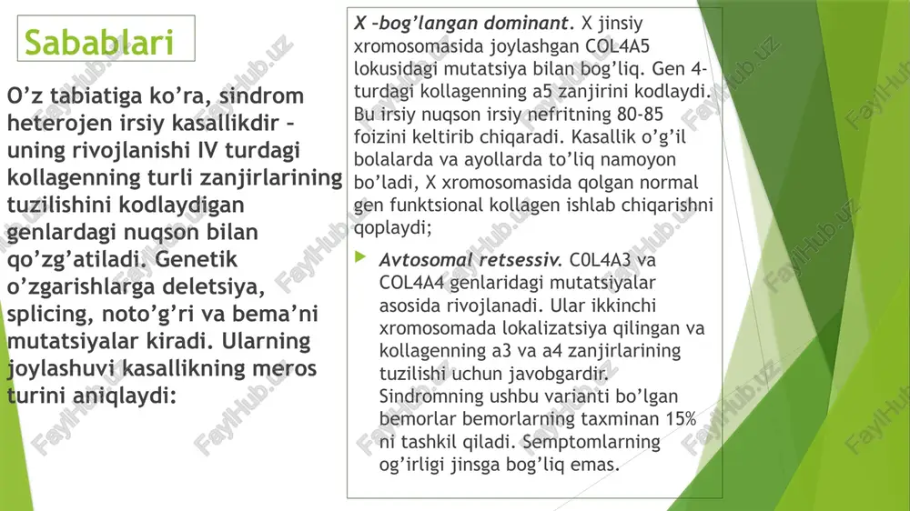 dan boshlab proteinuriyani kamaytirish uchun faol simptomatik davolash amalga oshiriladi. bu buyrak kanalchalarining shikastlanishi va atrofiyasi va interstitsial fibroz rivojlanishining oldini olishga yordam beradi. angiotensin-konvertatsiya qiluvchi ferment ingibitorlari va angiotensin ii retseptorlari blokerlari yordamida kasallikning rivojlanishini to’xtatish, glomerulosklerozning regressiyasiga, buyraklardagi tubulointerstitial va qon tomir o’zgarishlariga erishish mumkin. oxirgi bosqich surunkali buyrak etishmovchiligi bo’lgan bemorlarga gemodializ , peritoneal dializ buyuriladi va buyrak transplantatsiyasining maqsadga muvofiqligi masalasi hal qilinadi . prognoz va profilaktika proteinuriyasiz gematuriya sodir bo’lgan, ko’rish va eshitish qobiliyatini yo’qotmagan hollarda sindrom prognostik jihatdan qulaydir. bundan tashqari, ko’pchilik ayollar uchun prognoz yaxshi – gematuriya bilan ham kasallik asta-sekin o’sib boradi va umumiy holatni yomonlashtirmaydi. patologiyaning irsiy xususiyati tufayli uning rivojlanishining oldini olish mumkin emas. sindromning x-bog’langan shakli mavjudligi aniqlangan oilalarda prenatal tashxis qo’yish mumkin. genetika tekshiruvi, ayniqsa, o’g’il bolalarni ko’targan ayollar uchun tavsiya etiladi. e’tiboringiz uchun rahmat !!! image1.jpeg image2.jpeg image3.jpeg image4.jpeg my _— /docprops/thumbnail.jpeg alport sindromi