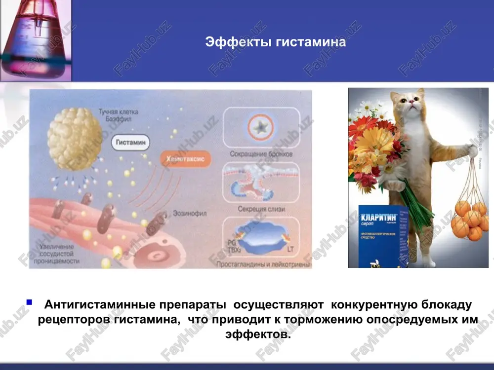 viya nekotorix protivoopuxolevix sredstv osnovan na sozdanii prepyatstviy folatnomu metabolizmu. metotreksat ingibiruet proizvodstvo aktivnoy formi folievoy kisloti (tsitostatik). nedostatochnost folievoy kisloti (v9) proyavlenie: megaloblastnaya (makrotsitarnaya) anemiya. xarakterizuetsya umensheniem kolichestva eritrotsitov, snijeniem soderjaniya v nix gemoglobina, uvelicheniem razmera eritrotsitov. kletki krovetvornoy tkani bistro delyatsya, poetomu oni v pervuyu ochered reagiruyut na narushenie sinteza dnk snijeniem skorosti eritropoeza. morfologicheskaya kartina perifericheskoy krovi pri makrotsitarnoy anemii mexanizm antibakterialnogo deystviya sulfanilamidnix preparatov. folievaya kislota (v9) yavlyaetsya vitaminom dlya cheloveka. mnogie patogennie bakterii sposobni sintezirovat v9, ispolzuya paraaminobenzoynuyu kislotu (pabk) - odnu iz sostavnix v9. sulfanilamidnie lekarstvennie preparati - proizvodnie sulfanilamida (streptotsida), poxoji po stroeniyu na pabk. v kletkax bakteriy narushaetsya obmen odnouglerodnix fragmentov, tormozitsya sintez dnk, chto vizivaet bakteriostaticheskoe deystvie. metionin yavlyaetsya nezamenimoy aminokislotoy uchastie metionina v metabolicheskix protsessax: - sintez belkov organizma - reaktsii transmetilirovaniya - istochnikom atoma s dlya sinteza tsis - lipotropniy faktor metionin neobxodim dlya sinteza belkov. metionin neobxodim dlya …