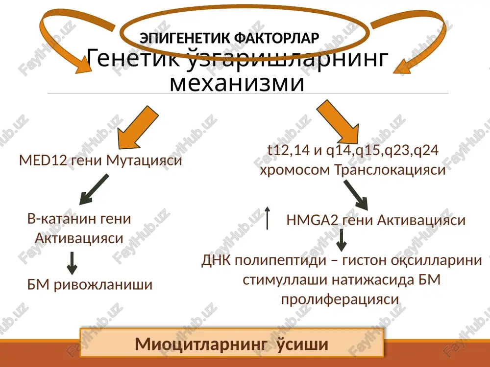 eki embrional qorin pardaning metaplaziyasi; disgormonal; immun tizimi faoliyati buzilishi. irsiy faktor immunologik buzilishlar endokrin buzilishlar metaplaziya implantatsiya endometrioidniy implantat gematogennaya i limfogennaya disseminatsiya endometrioz patogenezi sxemasi menstrual reflyuks progressirovanie i invaziya bachadon bo'g'zi genital endometrioz ichki tashki peritoneal ekstraperitoneal bachadon tanasi tuxumdonlar kin bachadon naylari tashki jinsiy a'zolar bachado naylari – intertsitial kismi korin parda bachadon bo'yni – kin tomoni retrotservikal soha klassifikatsiya endometrioz ekstragenital ichki (adenomioz) uzlovoy ochagoviy diffuzniy tashki genital ichki endometrioz (adenomioz) tarkalish darajasiga ko'ra : ii daraja – jarayon miometriy kavatiga tarkalgan; i daraja – endometrioz bachadon shillik kavatining bazal kismida joylashadi; iv daraja – jarayon parietal korin pardasi va ko'shni a'zolarga tarqalgan. iii daraja – jarayon bachadonning hamma qavatlarida tarialgan; i daraja – mayda nuktasimon o'choqlar tuxumdon tashqi yuzasida va qorin pardasining to'g'ri ichak va bachadon orasidagi chuqurlikda kuzatiladi; ii daraja – tuxumdonning bir tomonlama kistasi holida uchrab, hajmi 5-6 sm, kichik chanoq qorin …