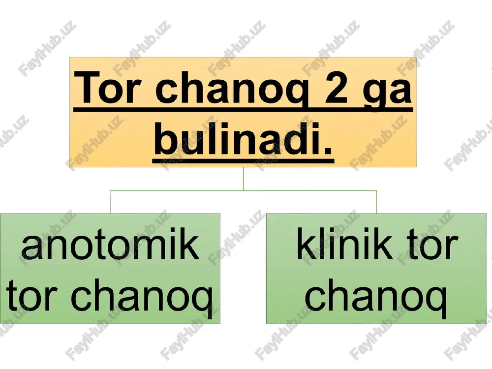 tor chanoq anatomiyasi - Page 5