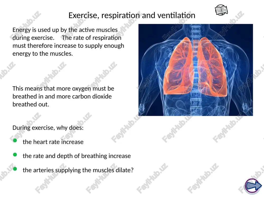could damage the tissue and kill cells. therefore, a protective bag called the pleural membrane surrounds the lungs, which are likely to rub against other organs during the breathing process. danger of friction a fluid is found within this bag, surrounding the lungs. this fluid lubricates the lining of the lungs and stops friction being generated. pleural membrane lung fluid the pleural membrane http://www.brainpop.co.uk/science/lifeprocesseshumans/respiratorysystem/ the breathing system cartilage and the trachea basics of breathing inside an alveolus breathtaking features bronchi and the lungs contents summary http://www.bbc.co.uk/schools/gcsebitesize/pe/appliedanatomy/1_anatomy_respiratorysys_rev3.shtml the alveoli 33 boardworks middle school science the respiratory system gas exchange 34 boardworks middle school science the respiratory system actually, each air sac is found to be a bundle of air sacs. together, they are known as an alveolus. we can look inside the alveolus to get some idea of why they are shaped the way they are. the outside of the alveolus …
