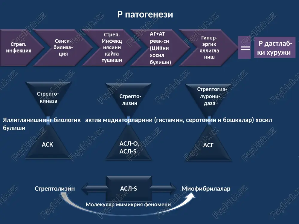 guratsiya; ms exografik manzarasi. doppler exokg erdamida mitral teshik maydoni xamda chap bulmacha va korincha orasidagi bosim gradienti va upka arteriyasidagi bosim kursatgich- lari aniklanadi, ayni paytda ms ogirlik darajasigi baxo beriladi; rasm № rentgenogramma instrumental tekshirish natijalari mk etishmovchiligi (mitral regurgitatsiya) – insufficientia valvulae bicuspidalis s. mitralis – chk sistolasi davomida mk tabakalarini tulik epilmasligi bilan namoen buladi va konni chk dan chbga teskari okishi (regurgitatsiyasi) kuzatiladi. mkning organik va funk- tsional etishmovchilig farklanadi. xozirgi paytda ushbu nukson mitral regurgitatsiya (mr) deb xam nomlanadi. 1. etiologiyasi a. tugma patologiya: klapanni bulinishi, prolaps va x.o.; b. mk yalliglanishi: r, tkb (skv), tizimli sklerodermiya, aortoarteriit; v. degenerativ jaraenlar: miksomatoz degeneratsiya, marfan va elers—danlo sindromlari, mitral xalka kaltsifikatsiyasi; g. infektsiya: infektsion endokardit; d. mk apparati patologiyasi: xordalarni uzilishi, surgichsimon mushaklarni uzilishi eki disfunktsiyasi, mitral xalka va chk dilatatsiyasi, gkm, mk atrofidan regurgitatsiya (sun'iy klapanlar asorati); e. mitral valvuloplastikasi asoratlari; kechishiga karab mr …