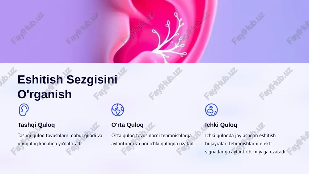 sezgi turlari va uning psixofizologik asoslari - Page 5
