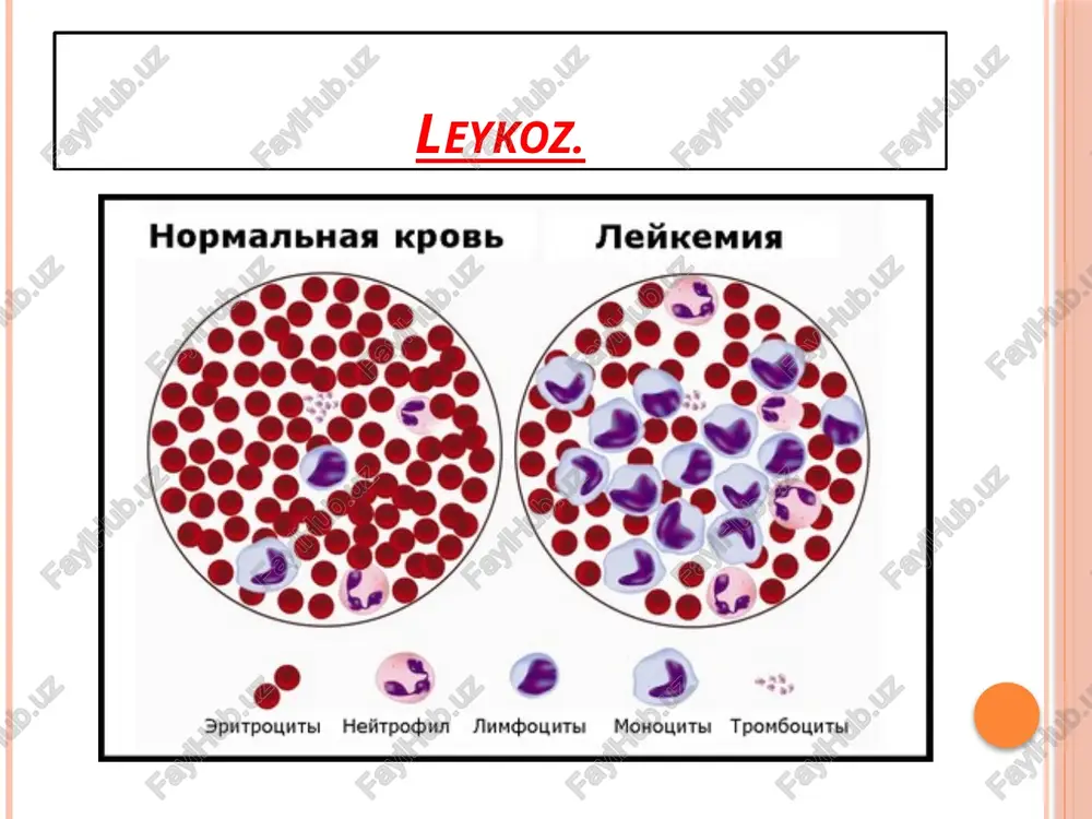 leykozlar - Page 5