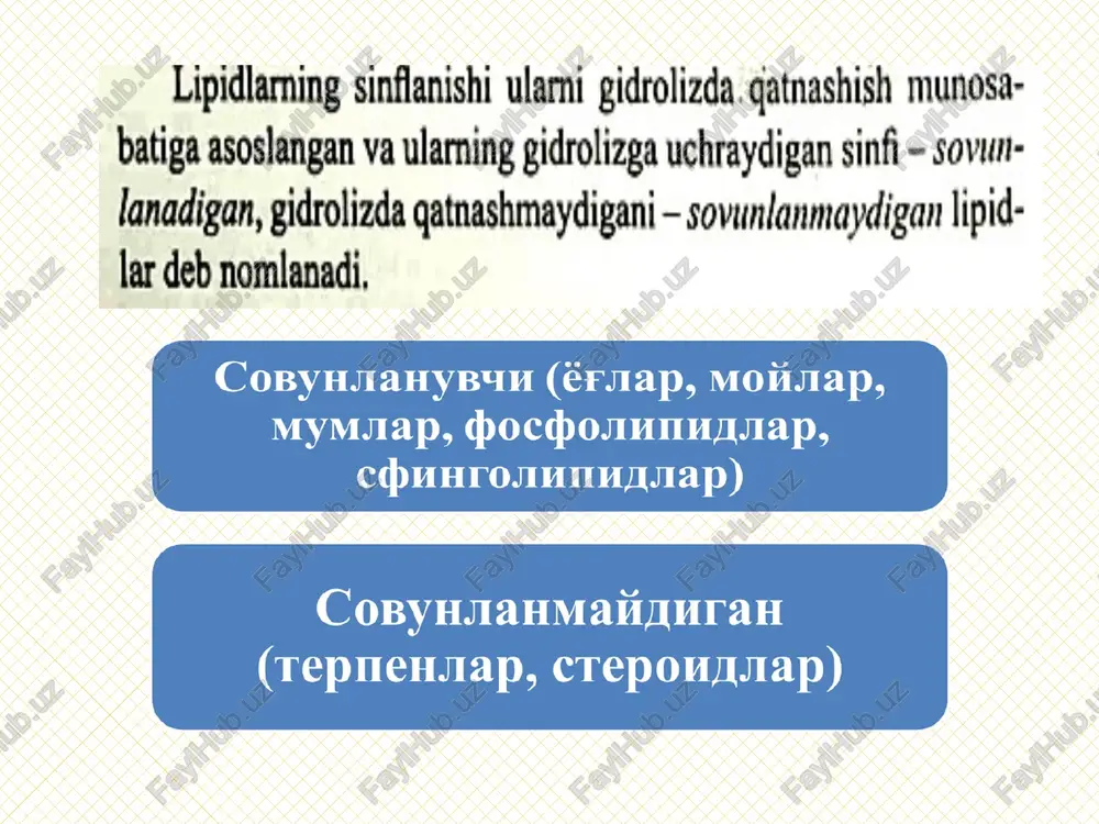 lipidlar - Page 5