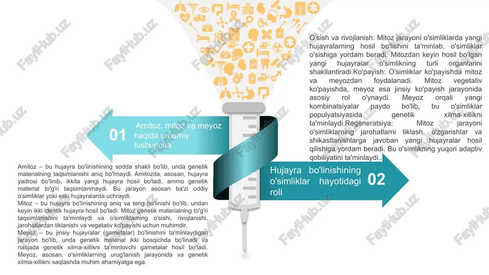aga bo'linadi. mitoz o'simliklar uchun juda muhimdir, chunki:. mitozning o'simliklardagi ahamiyati meyozning o'simliklardagi ahamiyati meyoz - bu jinsiy hujayralar (gametalar) bo'linish jarayonidir. meyozning o'simliklarda quyidagi ahamiyatlari bor: meyoz o'simliklarning jinsiy ko'payishida asosiy rol o'ynaydi. bu jarayon orqali urug'lar hosil bo'ladi, va urug'lar o'z navbatida yangi o'simliklarni shakllantiradi. meyozda genetik material ikki bosqichda bo'linadi va natijada to'rt gameta (urug') hosil bo'ladi. bu, o'z navbatida, yangi o'simliklarning genetik xilma-xilligini ta'minlaydi. jinsiy ko'payish meyozning asosiy ahamiyati genetik xilma-xillikni yaratishdir. meyoz jarayoni davomida, genetik materialning aralashishi va kombinatsiyasi yangi genetik kombinatsiyalarni yaratadi. bu o'simliklarga yangi sharoitlarga moslashishda yordam beradi va populyatsiyaning omon qolish imkoniyatini oshiradi. meyoz orqali o'simliklar genetik xilma-xillikni ta'minlab, yovvoyi turlarni yoki yangi muhitga moslashish uchun zarur bo'lgan yangi xususiyatlarni rivojlantiradi. genetik xilma-xillik meyoz, shuningdek, turlararo xilma-xillikni ta'minlashda yordam beradi. bu jarayon o'simliklarning yangi sharoitlarga moslashish imkoniyatlarini oshiradi. misol uchun, o'simliklar iqlim o'zgarishlari yoki boshqa ekologik o'zgarishlarga moslashish uchun meyoz orqali yangi …