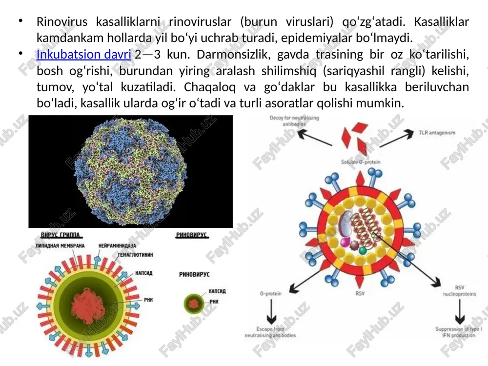bo'lganda mushaklarning gevşemesi. dori terapiyasi: antibiotiklar (yuqumli sabablarga ko'ra)- yallig'lanishga qarshi dorilar- antikoagulyantlar (trombozga shubha qilingan taqdirda)- ekstrakorporeal membranani kislorod bilan ta'minlash (ecmo):og'ir holatlarda gaz almashinuvini ta'minlash. ards uchun prognoz har xil va vaziyatning og'irligiga, asosiy sababga va davolanishni o'z vaqtida boshlashiga bog'liq. mumkin bo'lgan asoratlarga surunkali nafas olish etishmovchiligi, pnevmotoraks, ventilyator bilan bog'liq infektsiyalar va o'pka fibrozi kiradi. ards bilan o'lim darajasi yuqori bo'lib qolmoqda, ayniqsa og'ir shakllar va qo'shma kasalliklarda. ards og'ir holat bo'lib, intensiv terapiya va fanlararo yondashuvni talab qiladi. o'z vaqtida tashxis qo'yish va etarli darajada davolash bemorlarning natijalarini sezilarli darajada yaxshilashi mumkin, ammo asoratlar va o'limning yuqori xavfi muhim muammo bo'lib qolmoqda. foydalanilgan adabiyotlar https://uz.wikipedia.org/wiki/oʻtkir_respirator_kasalliklar https://ru.wikipedia.org/wiki/ostriy_respiratorniy_distress-sindrom https://www.krasotaimedicina.ru/diseases/zabolevanija_pulmonology/respiratory-distress-syndrome "acute respiratory distress syndrome" pod redaktsiey michael a. matthay i arthur s. slutsky "acute respiratory distress syndrome: a comprehensive clinical approach" pod redaktsiey davide chiumello image1.jpeg image2.jpeg image3.jpeg image4.jpeg image5.jpeg image6.jpeg image7.jpeg image8.jpeg image9.jpeg image10.jpeg image11.jpeg image12.png image13.jpeg …