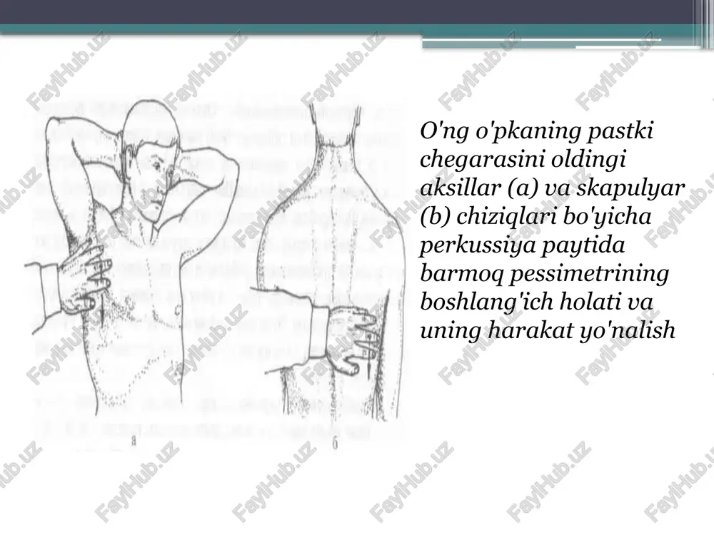 perkussiya - Page 5