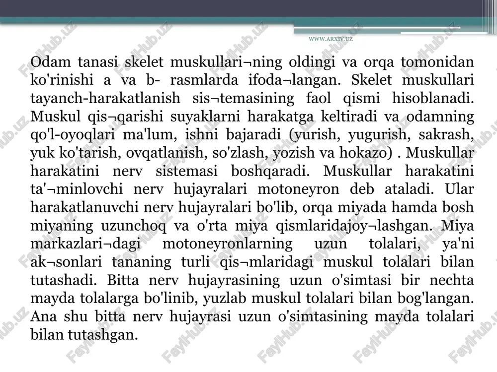 bo'g'imida yozilish harakatini bajaradi. www.arxiv.uz sonning orqa tomonida sonning ikki boshli, yarim pay, yarim pardasimon muskullari joylashgan. vlar chanoq bo'g'imini yozishda, tizza bo'g'imini bukishda ishtirok etadi. boldirning oldingi yuzasida katta boldirning oldingi muskuli, 2-5-barmoqlarni yozuvchi uzun muskul, bosh barmoqni yozuv¬chi uzun muskullar bo'lib, ular oyoq-panja bo'g'imlarida yozish harakatlarini bajaradi. boldirning orqa yuzasidagi uch boshli, tizza osti, katta boldirning orqa yuzasidagi bosh barmoqni bukuvchi uzun, 2-5-barmoqlarni bukuvchi uzun muskullar, oyoq-panja bo'g'imlarida bukish harakatlarini bajaradi. boldirning yon tomo¬nida kichik boldirning uzun va kalta muskullari joylashgan. www.arxiv.uz image2.jpeg image3.jpeg image4.jpeg image5.jpeg /docprops/thumbnail.jpeg muskullarning tuzliushi_turlari yosh va gigvyenai