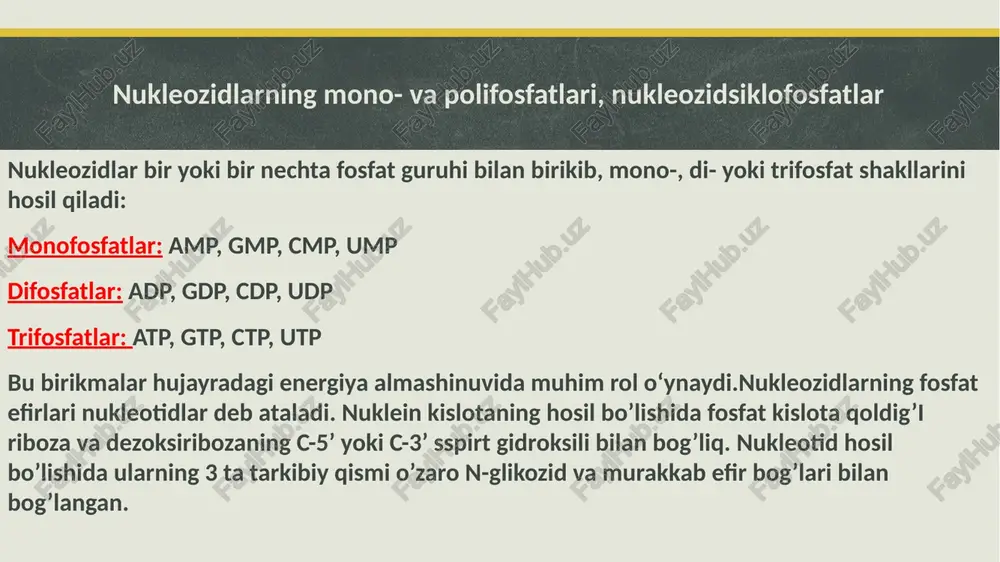 set swe ilmiybazauz oh oh ch. a a no ° vie yre5 res x ho’ ss he .s urasil (u) (ie dks) nho a n76 j ho ‘sitozin ($) 2-okso-4-aminoprimidin) ilmiybazauz ilmiybazauz 1 miypaza.uz /docprops/thumbnail.jpeg