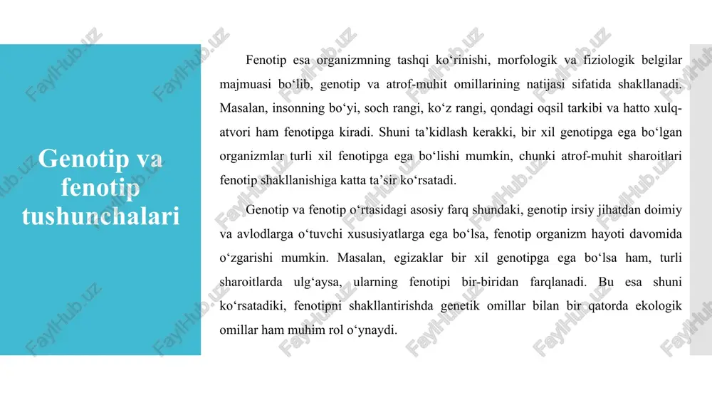 shda klassik genetik usullar yordamida turli xususiyatlar va meros o‘tishlarini o‘rganish mumkin. bu usullar, asosan, monogibrid va digibrid chatishtirishga asoslanadi. ushbu metodlar orqali genetik xususiyatlarning avlodlarga qanday o‘tishini aniqlash mumkin monogibrid chatishtirish monogibrid chatishtirish — bu bitta fenotipik xususiyatni nazarda tutuvchi ikki organizmni chatishtirish jarayonidir. bu usul yordamida bir genning dominant va resessiv allellari o‘rtasidagi munosabatlar o‘rganiladi. mendel tomonidan o‘tkazilgan tajribalarda monogibrid chatishtirish asosida dominant va resessiv xususiyatlar o‘rganilgan. eksperimental metod: polimorfizm bioinformatika: komputer yordamida molekulyar metodlar genotip fenotip mutatsiyalar genotipni aniqlash usullari f1 avlodda barcha organizmlar uzun bo‘yli va qizil rangli bo‘ladi (lr, lr). f2 avlodida esa xususiyatlar 9:3:3:1 nisbatida ajraladi, ya’ni: 9 ta uzun bo‘yli, qizil rangli; 3 ta uzun bo‘yli, oq rangli; 3 ta qisqa bo‘yli, qizil rangli; 1 ta qisqa bo‘yli, oq rangli. mendelning qonunlari va natijalar: birlashtirish qonuni: har bir gen bir-biridan mustaqil tarzda ajraladi va avlodlarga o‘tadi. mustaqil ajralish: har bir xususiyat (gen) mustaqil …