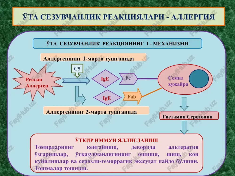 immunogenezning sxematik tasviri - Page 5