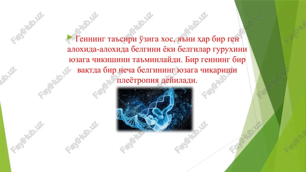 mikrostrukturalar – xromosomalar va genlar orkali, kodlash usuli bilan avloddan avlodga xar bir turning biologik xususiyatlarini utishiga aytiladi. xromosoma (yunoncha chromo – rang, soma – tanacha demakdir) – uz uzidan kupayuvchi, murakkab, ipsimon xujayra yadrosining elementi. insonning xar bir xujayrasi 46 yoki 23 juft xromosomadan iborat (22 juft autosoma - ayollarda va erkaklarda bir xil, va 1 juft jinsiy xromosomalar: erkaklarda xy , ayollarda xx). katta-kichikligi, tsentromerani joylanishi va elkasini uzinligiga karab insonda uch tur xromosomalar ajratiladi: metatsentrik (median), submetatsentrik (submedian), akrotsentrik (subterminal). katta-kichikligi, tsentromera joylanishiga karab xamma xromosomalar 7 guruxka bulingan 1000 tugilgan chakalloklarning 7tasida xar xil xromosom kasalliklar uchrashi mumkin. xromosomalar kasalliklari klassifikatsiyasi asosida mutatsiyalar turi yotadi. mutatsiyalar – nasldan naslga utuvchi xujayraning irsiy materialining noananaviy uzgarishlaridir. spontan va indutsiyalashgan mutatsiyalar ajratiladi. spontan mutatsiyalar uz-uzidan paydo buladi. indutsiyalashgan mutatsiyalar tashki muxitni xar-xil ta'sirlari (mutagenlar) okibatida paydo buladi, ular fizik va kimiyoviy bulishi mumkin. fizik mutagenlar - issiklik, sovuklik, …