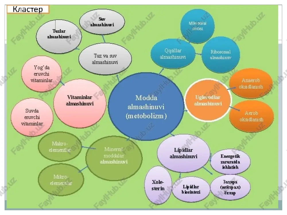 parchalanishi; lipidlarning so'rilishi; lipidlar transportlanishi (jigar darvoza venasi va ko'krak limfatik yo'li orqli); lipidlarning yog' to'qimasidagi almashinuvi; lipidlarning oraliq almashinuvi. yog'lar almashinuvi ko'rsatgichlari umumiy lipidlar 3,8-8,0 g/l; triglitseridlar 0,4-1,8 mmol/l; yuqori erkin (esterifikatsiyalanmagan) yog' kislotalari 0,3-0,9 mmol/l olein 26-45% palmitin 20-25% stearin 10-14% linolen 8-25% lipidlar almashinuvi boshqaruv mexanizmlari nerv: mns va vnt parasimpatik qismi tonusining pasayishi lipidlar rezorbtsiyasini kamaytiradi. simpatik qismi triglitseridlar sintezini tormozlaydi, yog' to'qimasda triglitseridlar parchalanishini kuchaytirib giperlipemiyaga olib keladi. gumoral: aktg va tiroksin lipidlar so'rilishini stimullaydi, vazopressin va katexolaminlar tormozlaydi; aktg, stg, ttg yog' to'qimasda triglitseridlar parchalanishini kuchaytiradi. lipidlar almashinuvi buzilishi turlari lipidlar so'rilishining buzilishi; lipidlar transportining buzilishi; yog' to'qimasiga mansub bo'lmagan to'qimalarda lipidlarning mey'yordan ko'p to'planishi (yog'li infiltratsiya va distrofiya); yog' to'qimasida lipidlar almashinuvining buzilishi (semirish, ozish); lipidlar oraliq almashinuvining buzilishi – giperketonemiya. lipidlar so'rilishi buzilishining sabablari jigarda o't ishlab chiqarilishining etishmasligi; lipaza faolligining pasayishi; glitserofosfat etishmovchiligi; gipo- va avitaminozlar (vit. a, v, s); oshqozon …