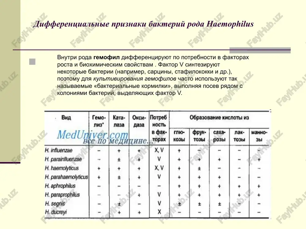 ichnie kolonii peresevayut, viyavlyayut nalichie kapsul (v reaktsii immunnogo nabuxaniya nayfelda) i issleduyut bioximicheskie svoystva. ag bakteriy viyavlyayut pri pomoshi rp v agare. vajnuyu informatsiyu mojet dat analiz potrebnosti v faktorax x i v. pryamoy metod diagnostiki palochki inflyuentsi. vipolnyayut gazonniy posev kulturi na tvyorduyu pitatelnuyu sredu. poloski bumagi, propitannie faktorami x i v, nakladivayut na poverxnost agara. rost bakteriy vokrug polosok, a ne na drugix uchastkax sredi, podtverjdaet predpolojenie ob ix prinadlejnosti k vidu palochki inflyuentsi. dlya identifikatsii palochki inflyuentsi takje primenyayut test satellitnix koloniy («bakterialnaya kormilka»). na ka zasevayut issleduemuyu kulturu, a cherez tsentr chashki (po diametru — shtrixom) zasevayut zolotistiy stafilokokk. posledniy sinteziruet faktor v, a takje visvobojdaet faktor x, razrushaya eritrotsiti. okolo zoni rosta stafilokokka palochka inflyuenzi obrazuet bolee krupnie kolonii. lechenie osnovu lecheniya sostavlyaet adekvatnaya antimikrobnaya terapiya (preparati vibora — ampitsillin, aminoglikozidi). detyam, kontaktirovavshim s bolnim, naznachayut rifampitsin. antimikrobnuyu terapiyu sleduet sochetat s simptomaticheskim lecheniem. …
