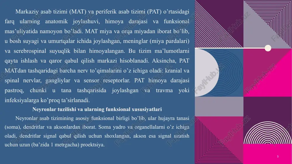 aloqa orqali integratsiyani ta’minlaydi. c.s. sherringtonning «integrativ harakat» nazariyasiga ko’ra, sinaps – markazlar aloqasining asosiy birligi. sinaps presinaptik terminallarda neyrotransmitterlar (glutamat – qo’zg’atuvchi, gaba – tormozlovchi) chiqarilishi orqali ishlaydi.muvofiqlashuv rekiprokal tormozlanish va faksilitatsiya orqali amalga oshiriladi. misol: yurishda fleksor va ekstensor mushaklarining almashinishi. sherrington tajribalarida spinning decerebratsiyasi oyoqlarning ekstansiyasiga olib keldi, bu tormozlanish markazlarining ro’lini ko’rsatdi. 12 12 13 pavlov refleks nazariyasi va shartli reflekslarning ahamiyati i.p. pavlov reflekslarni shartsiz (tug’ma) va shartli (orttirilgan) deb ajratdi. shartsiz reflekslar – ovqatga tupruq ajralishi (us – ovqat, ur – tupruq). shartli refleks – neytral stimulus (cs – qo’ng’iroq) shartsiz bilan bog’langanda hosil bo’ladi (cr – tupruq). tajriba: itlarga qo’ng’iroq + ovqat, keyin faqat qo’ng’iroq – tupruq ajraladi. bu miya po’stlog’idagi yangi neyron aloqalar hosil bo’lishi natijasida yuzaga keladi. muhimlik: moslashuv – atrof-muhitga adaptatsiya. signal tizimi: 1-darajali (shartsiz), 2-darajali (so’zlar, ikkilamchi signallar). amaliy misollar: reklama (brend + ijobiy his), fobiyalar (it chaqishi + …