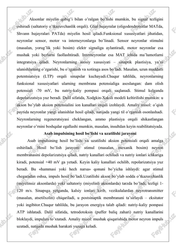misol: o’qish paytida neyronlar yangi ulanishlar hosil qiladi, natijada yangi til o’rganish osonlashadi. neyronlarning regeneratsiyasi cheklangan, ammo plastisiya orqali shikastlangan neyronlar o’rnini boshqalar egallashi mumkin, masalan, insultdan keyin reabilitatsiyada. asab impulsining hosil bo’lishi va uzatilishi jarayoni asab impulsining hosil bo’lishi va uzatilishi aksion potensiali orqali amalga oshiriladi. hosil bo’lish jarayoni: stimul (masalan, mexanik bosim) neyron membranasini depolarizatsiya qiladi, natriy kanallari ochiladi va natriy ionlari ichkariga kiradi, potensial +40 mv ga yetadi. keyin kaliy kanallari ochilib, repolarizatsiya yuz beradi. bu «hammasi yoki hech narsa» qonuni bo’yicha ishlaydi: agar stimul chegaradan oshsa, impuls hosil bo’ladi.uzatilishi akson bo’ylab sodda o’tkazuvchanlik (miyelinsiz aksonlarda) yoki saltatoriy (miyelinli aksonlarda) tarzda bo’ladi, tezligi 1-120 m/s. sinapsga yetganda, kalsiy ionlari kirib, vezikulalardan neyrotransmitter (masalan, atsetilxolin) chiqariladi, u postsinaptik membranani ta’sirlaydi – eksitator yoki ingibitor.chuqur tahlilda, bu jarayon energiya talab qiladi: natriy-kaliy pompasi atp ishlatadi. dalil sifatida, tetrodotoksin (puffer baliq zahari) natriy kanallarini bloklaydi, impulsni to’xtatadi. amaliy misol: mushak …
