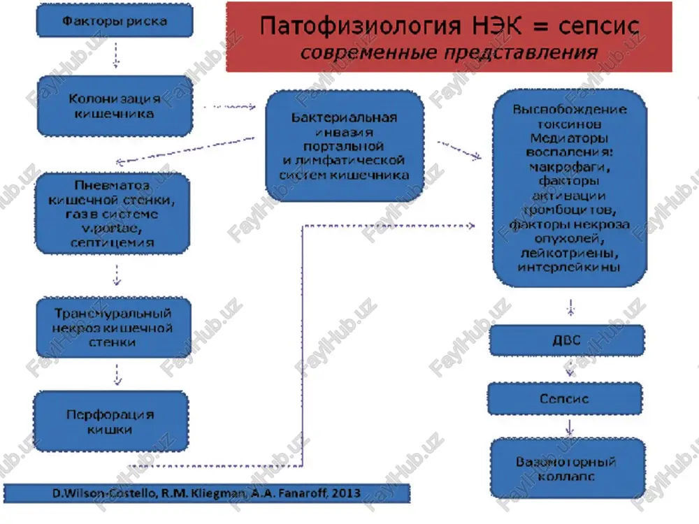 ar ko’pincha og’riqli va okmalar, granulomatoz to’qimadan iborat g’adir-budir yuzalar hosil qilib oraliq sohasiga tarqalishi mumkin. ba’zida yaralarning intensiv rivojlanishi natijasida perianal soha musullari xam jaroxatlanishi mumkin. ingichka ichak, sigmasimon va to’g’ri ichakdan yuqorida joylashgan yo’g’on ichak jaroxatlanganda sigmoidoskopiyada shilliq parda o’zgarishsiz bo’ladi. kron kasalligining rektal formasida shilliq pardada chiziksimon yaralar aniqlanadi. laborator tekshiruvlarda anemiya, echt oshganligi, gipoalbuminemiya, lga ko’rsatkichining oshganligi, qon quyilishi vaqtining cho’zilishi kabi ko’rsatkichlar kuzatiladi. rentgenologik tekshiruvda oshqozon-ichak tizimining barcha sohalarida-qizilo’ngachdan tortib to’g’ri ichakgacha kron kasalligiga xos o’zgarishlar aniqlanadi, lekin eng ko’p uchraydigan lokalizastiyasi (sohalari) yonbosh va yo’g’on ichak hisoblanadi. shuningdek ichak oqmalari, qorin bo’shlig’i abssteslari, o’smasimon hosilalar va terining jaroxatlanishi kuzatiladi. kron kasalligiga ichki okmalar va yo’llar xosil bo’lishi xosdir. bunday asoratlar qorin og’rig’i, qorin devorining taranglashuvi va qorinda o’smasimon hosila paypaslanishi kabi klinik belgilar bilan o’tadi. okma ko’pincha yonbosh ichakning terminal qismi bilan ko’tariluvchi chambar yoki sigmasimon ichaklar orasida vujudga keladi. o’tkir appendistit diagnozi bilan …