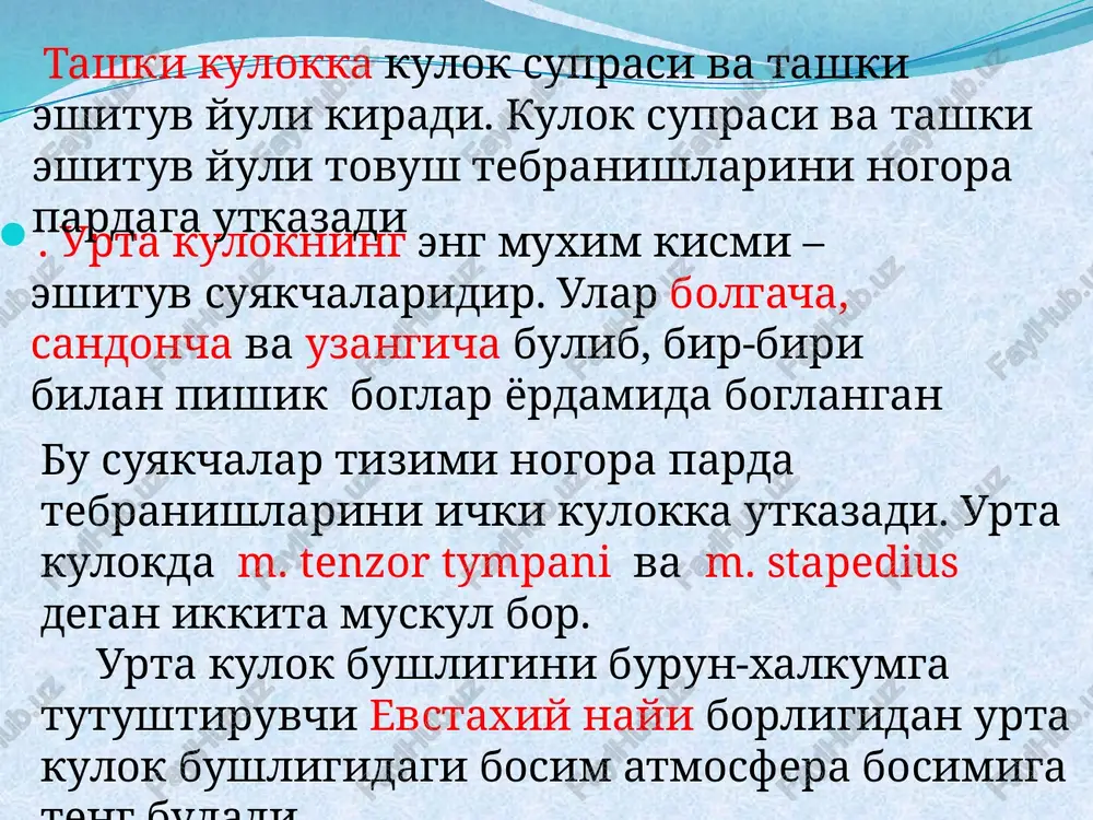 eshituv va vestibular analizatorlarining faoliy tavsifi - Page 5