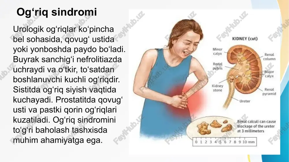 urologik kasalliklar simptomlari, tashxislash usullari, davolash va asoratlari - Page 5