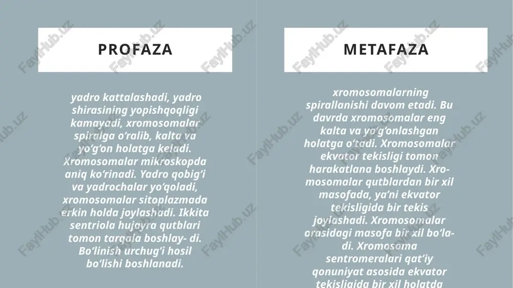 mitoz va meyoz - Page 5