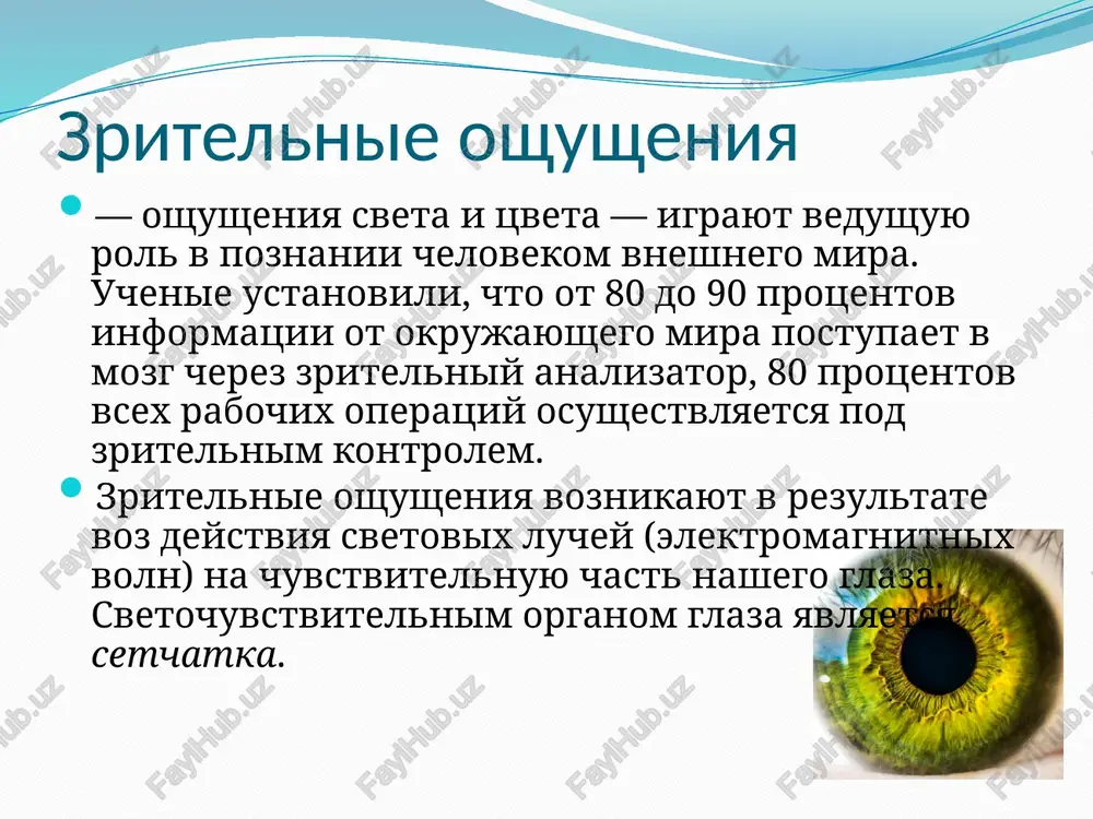 vidi oshusheniy - Page 5