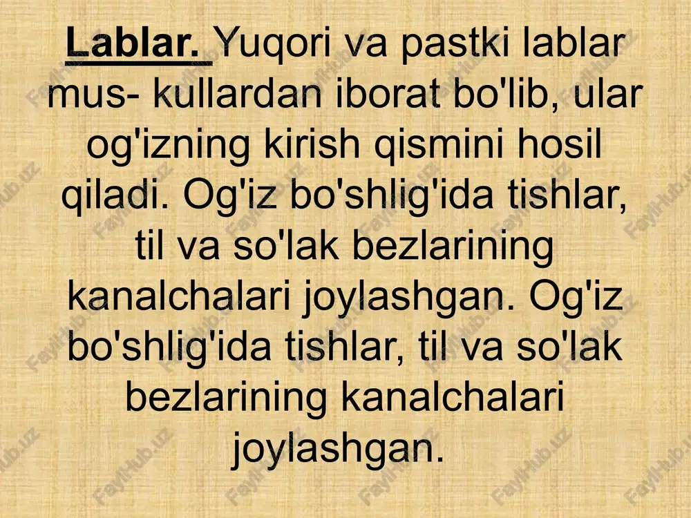 li oziq moddalarining so‘rilishi (b): i— bir qgavat epiteliy, 2 — qon tomirlari, 3 — vorsinka, 4— limfa. /docprops/thumbnail.jpeg i mavzu: ingichka va yo'g'on ichakda ovqat _ hazm bo'lishini | o'ziga hosligi