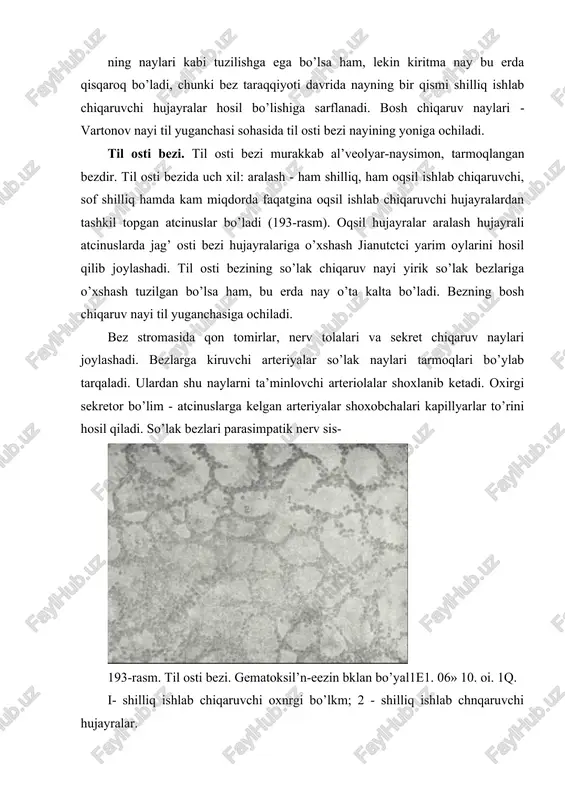 nik moddalardan bir qanna fermentlar- ptialin, mal’taza, lipaza, peptidaza va proteinazalar kiradi. bundan tashqari, unda mutcinlar, hujayra elementlaridan epiteliy va leykotcitlar uchraydi. so’lakning tarkibida turli xil bakteriyalar uchraydi. so’lak oziq moddani namlaydi, yumshatadi, yarim suyuq holatga keltirib chaykash va yutishni engillatadi. so’lak tarkibidagi fermentlar ta’siri uning zarur faoliyatidan biridir. og’iz bo’shlig’idan boshlab karbon suvlar parchalanadi. so’lak yordamida organizm bir qancha organik va anorganik chiqindilardan (siydik kislotasi, kreatin, yod va boshqalar) to-zalanadi. so’lak bezlarining himoya faoliyati bakteritcid xususiyatga ega bo’lgan lizotcim moddasini ajratishdan iborat. so’lak tarkibida insulin, parotin, epiteliyning o’sish faktori va boshqa shunga o’xshash gormon va biologik aktiv moddalarning bo’lishi so’lak bezlari endokrin vazifani ham bajaradi, deyishga asos bo’ladi. so‘lak o‘zi nima va uning organizm uchun qanday ahamiyati bor? og‘iz bo‘shlig‘ining shiliq qavatida uchta yirik va ko‘plab mayda so‘lak bezlari mavjud. oddiy so‘lak rangsiz, biroz iishqorli suyuqlik bo‘lib, hidi va mazasi yo‘q. uning tarkibida 99 foiz suv va 1-1,5 foiz …