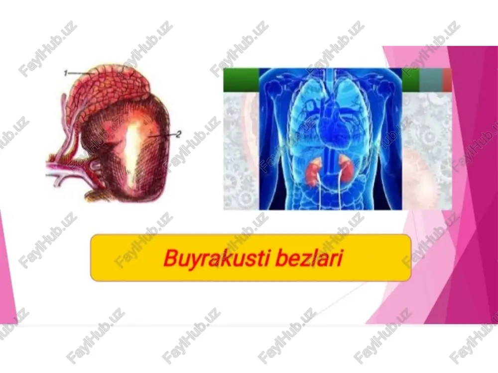 me'da osti bezi - Page 5