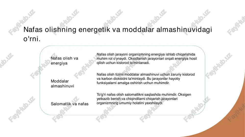 o'ziga xos tuzilishga ega bo'lib, samarali ish uchun moslashgan. 3 salomatlikka ta'siri nafas olish tizimi inson salomatligiga bevosita ta'sir qiladi. uning samarali ishlashi jarayonida organizmning umumiy sog'lig'i va barqarorligi ta'minlanadi. e'tiboringiz uchun rahmat!