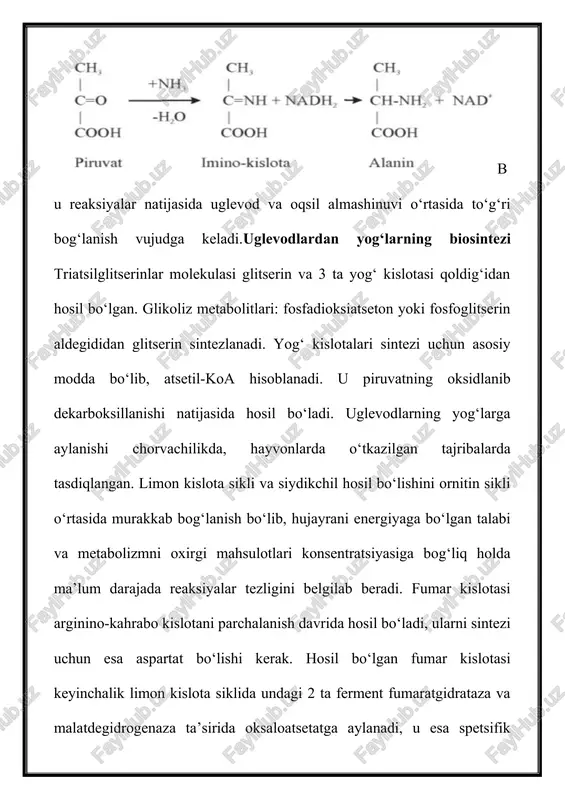 iyligini ta’minlovchi asosiy yollarini va kalit substrat, fermentlarni misol qilib keltirdik. shunday qilib, oziq moddalarning parchalanishni tezligi va boshqa moddalarni biosintezi organizmni fiziologik holati va uni energiya va metabolitlarga bo‘lgan ehtiyoji bilan belgilanadi. metabolik faollikni dinamikligi makro- va mikrosko‘pik doimiyligini ta’minlaydi. organizm dinamik holatini barcha o‘zgarishlari patologik holatni rivojlanishga olib keladi, uni og‘irlik darajasi va davomiyligi hujayra qurilishi hamda funksiyasini buzilish darajasiga bog‘liq bo‘ladi. to'g'ri ovqatlanish va ozuqa balansini taqsimlashda uglevodlar muhim rol o'ynaydi. o'z sog'lig'iga g'amxo'rlik qiladigan odamlar murakkab uglevodlarni soddagilarga qaraganda afzalroq deb bilishadi. ovqatni kun davomida uzoqroq hazm qilish va quvvat olish uchun iste'mol qilish yaxshiroqdir. lekin nega bunday? sekin va tez uglevodlarni assimilyatsiya qilish jarayonlari qanday farq qiladi? nega shirinliklarni faqat oqsil oynasini yopish uchun iste'mol qilish kerak, asal esa faqat tunda iste'mol qilish yaxshiroq? ushbu savollarga javob berish uchun, keling, inson tanasida uglevodlar almashinuvini batafsil ko'rib chiqamiz. inson tanasida uglevodlar optimal vaznni ushlab turishdan tashqari, …
