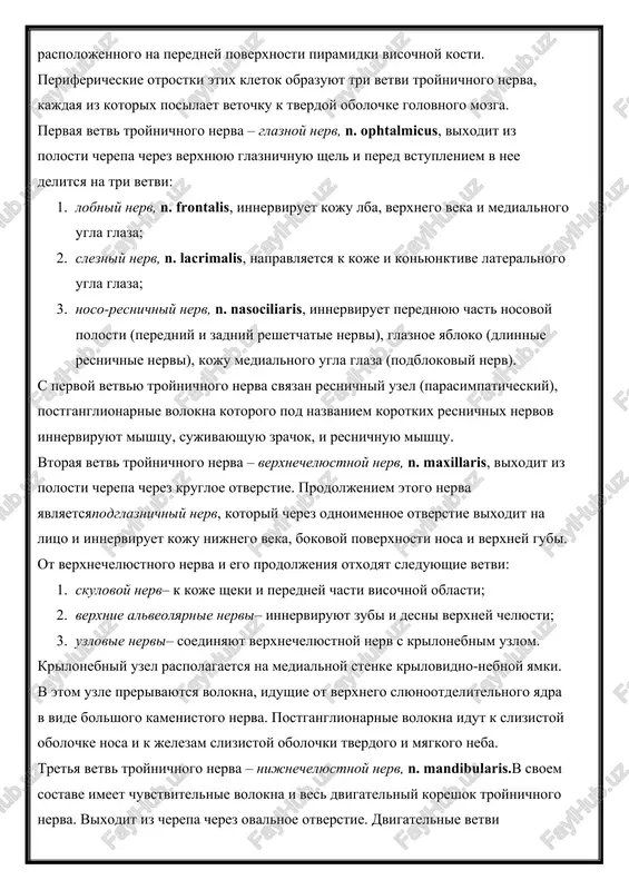 y nerv, n. maxillaris, vixodit iz polosti cherepa cherez krugloe otverstie. prodoljeniem etogo nerva yavlyaetsyapodglaznichniy nerv, kotoriy cherez odnoimennoe otverstie vixodit na litso i innerviruet koju nijnego veka, bokovoy poverxnosti nosa i verxney gubi. ot verxnechelyustnogo nerva i ego prodoljeniya otxodyat sleduyushie vetvi: 1. skulovoy nerv– k koje sheki i peredney chasti visochnoy oblasti; 2. verxnie alveolyarnie nervi– innerviruyut zubi i desni verxney chelyusti; 3. uzlovie nervi– soedinyayut verxnechelyustnoy nerv s krilonebnim uzlom. krilonebniy uzel raspolagaetsya na medialnoy stenke krilovidno-nebnoy yamki. v etom uzle prerivayutsya volokna, idushie ot verxnego slyunootdelitelnogo yadra v vide bolshogo kamenistogo nerva. postganglionarnie volokna idut k slizistoy obolochke nosa i k jelezam slizistoy obolochki tverdogo i myagkogo neba. tretya vetv troynichnogo nerva – nijnechelyustnoy nerv, n. mandibularis.v svoem sostave imeet chuvstvitelnie volokna i ves dvigatelniy koreshok troynichnogo nerva. vixodit iz cherepa cherez ovalnoe otverstie. dvigatelnie vetvi innerviruyut vse jevatelnie mishtsi, mishtsu, napryagayushuyu nebnuyu zanavesku, chelyustno-pod'yazichnuyu mishtsu, …